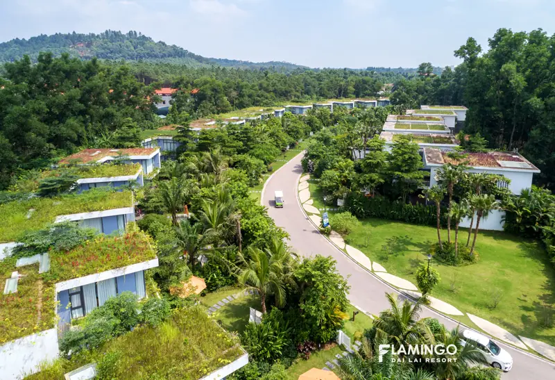 Đường nội khu Flamingo Đại Lải chạy giữa các biệt thự mái phủ cỏ xanh, có xe điện đang đi trên đường